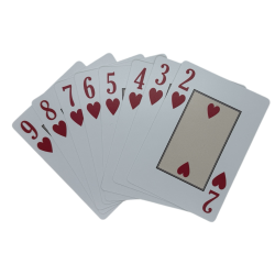 Muovikortit - GILDED BLADES Gold - Rajoitettu erä