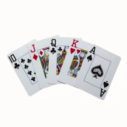 Poker cards - Copag WSOP Double